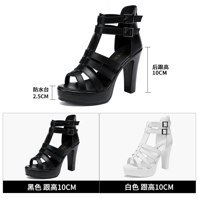 Gladiator Ladies Shoe for Wome - Casual Sandal Leather recension och pris